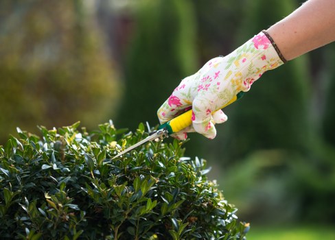 Team member inspecting a lawn with clipboard for compliance