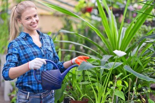 A young woman with long blonde hair, dressed in a blue and black checkered shirt and grey jeans, is smiling while watering a lush, green garden with a blue watering can. The garden features a variety of tall leafy plants, including broad-leafed greenery and flowering plants, with some small potted plants visible in the background. The scene is set outdoors in natural daylight, with an overall vibrant and healthy appearance of the plants indicating good garden maintenance. The environment suggests a well-organized, cultivated outdoor space typical of residential gardens in the Poplar area or nearby parts of East London, showcasing elements of gardening and outdoor care provided by companies like Lawn Mowing Poplar. The focus is on the woman actively tending the garden, highlighting routine plant watering and garden maintenance, with the lush foliage creating a natural, lively atmosphere suitable for professional gardening services.