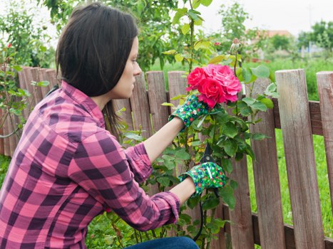 Professional landscapers designing outdoor space