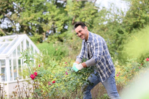 Proper disposal of tree debris after Poplar tree removal