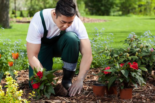 Pruning shrubs in a well-maintained Poplar garden