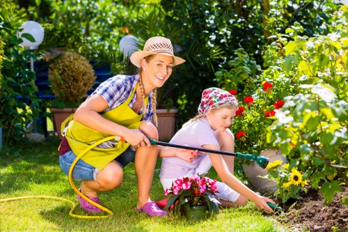 Efficient drip irrigation system in a Poplar garden