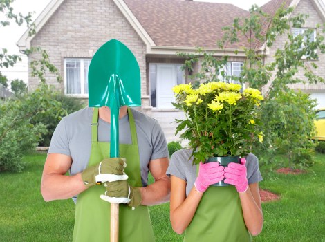 Lush trees and shrubs in a Poplar landscape