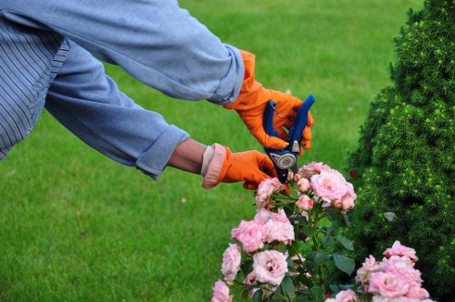 Gardener performing routine maintenance with battery tools in a communal courtyard